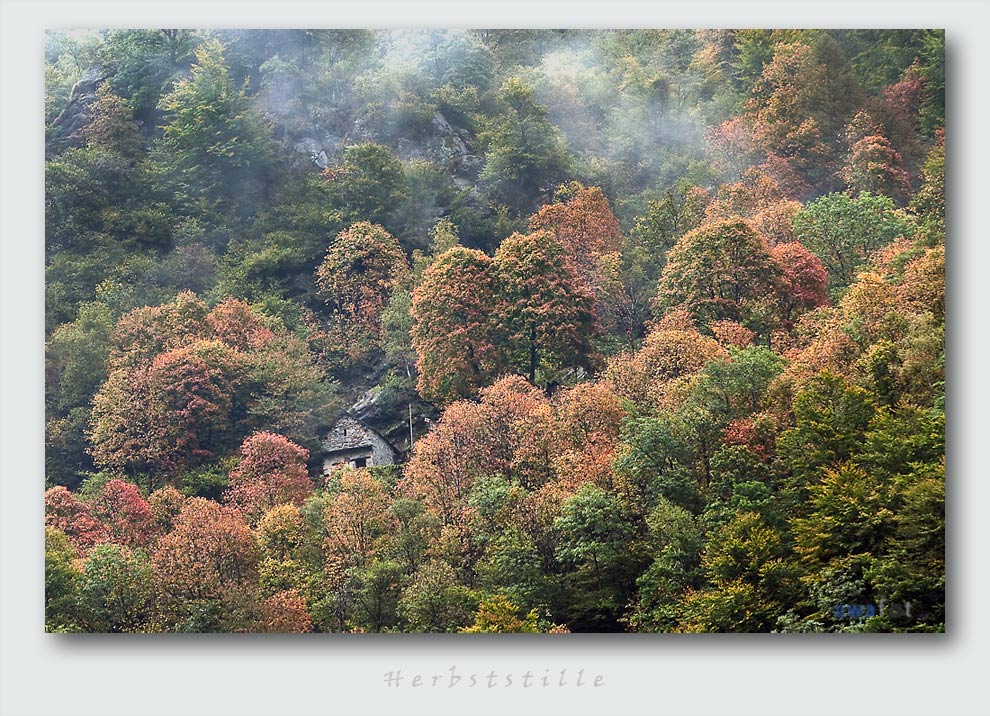 nff 2010 10 04 037a