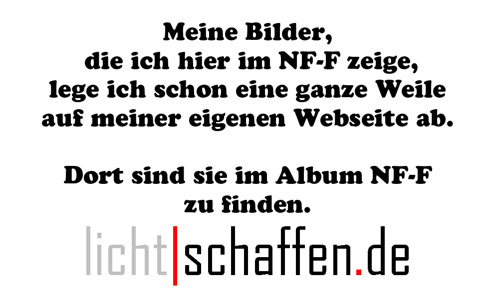 NFF Album