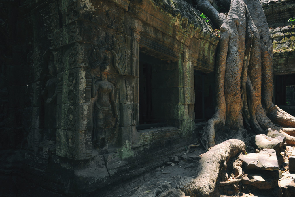 NFF angkor 29