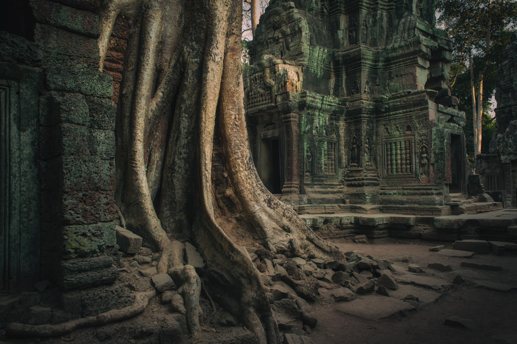 NFF angkor 31