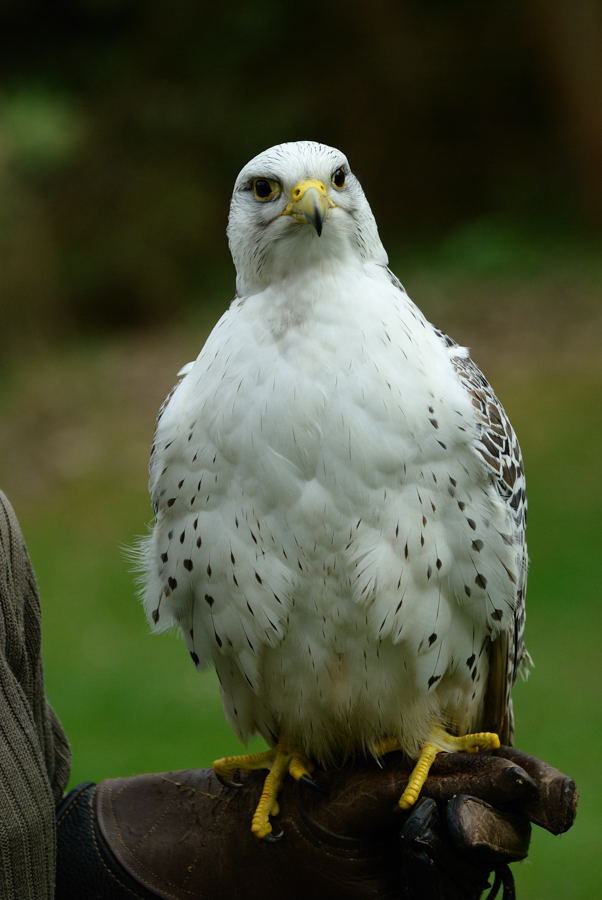 NFF Ausflug 031