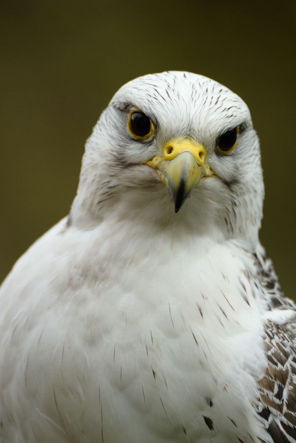 NFF Ausflug 036