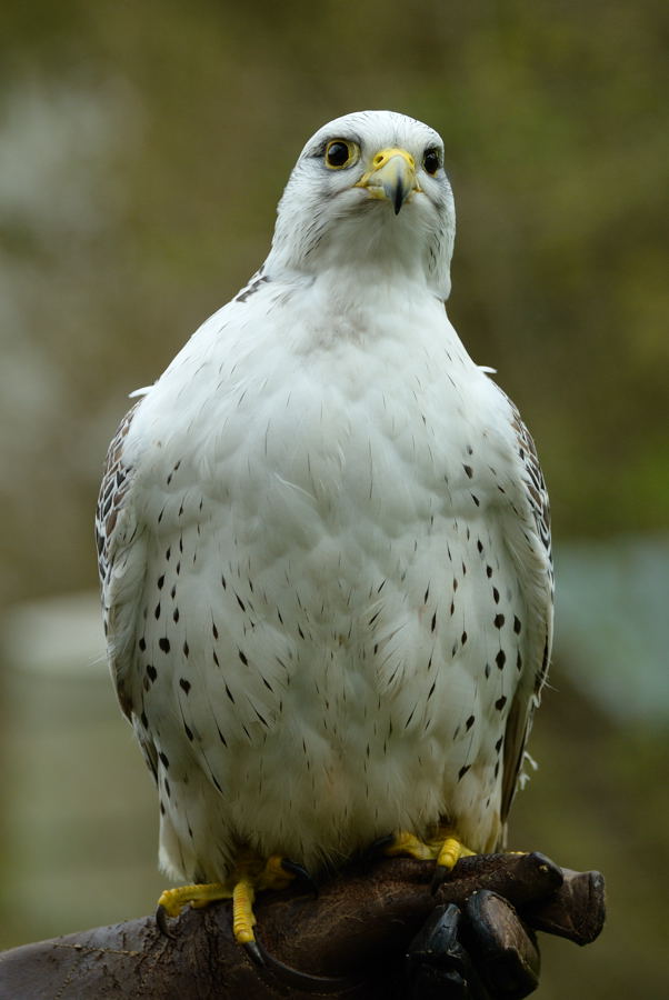 NFF Ausflug 039