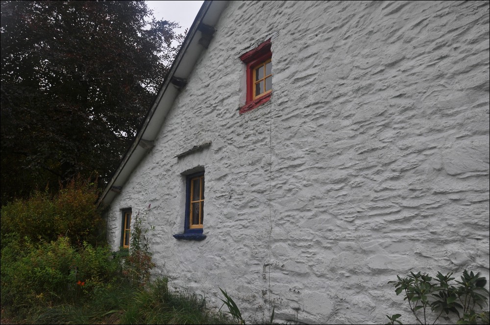 NFF Cymru 30