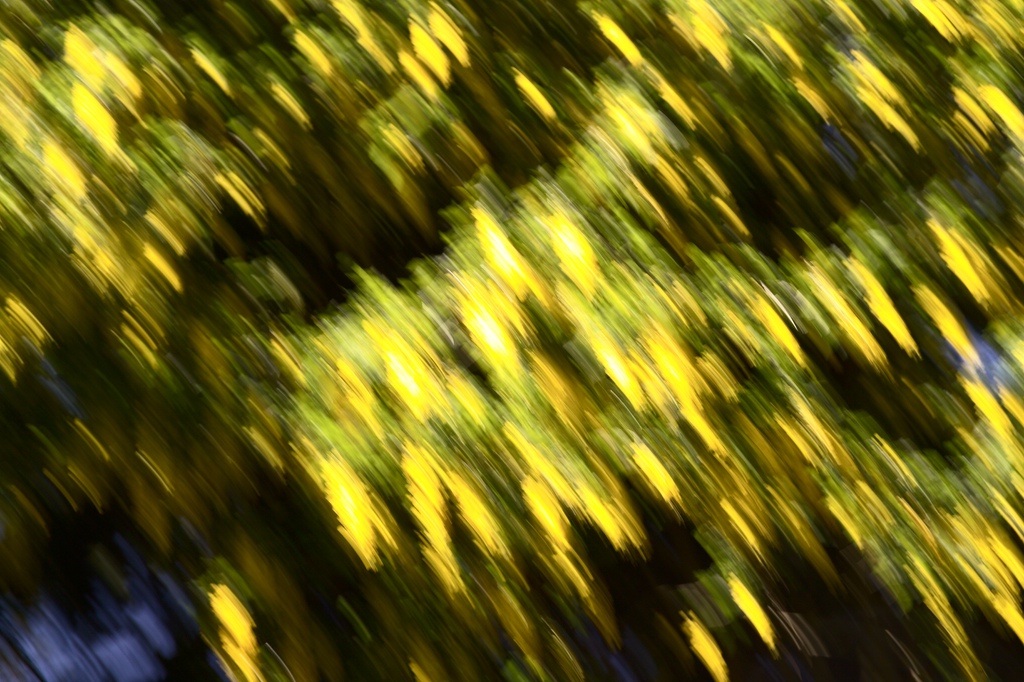 NFF GH8J0694
Drittes Testbild - WÄÄÄÄÄÄÄH!!!!!!!!!!!!!!!!