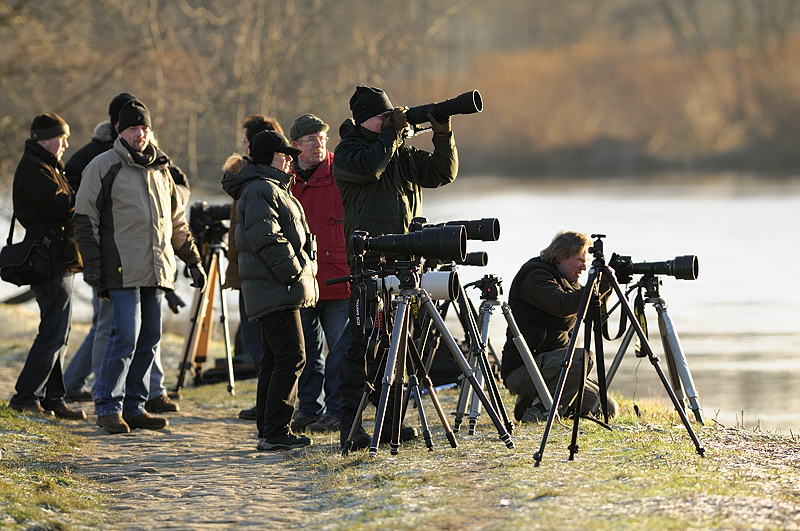 NFF Treffen Teilnehmer