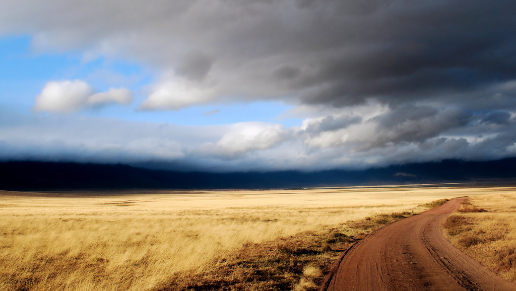 Ngorongoro savanne 3