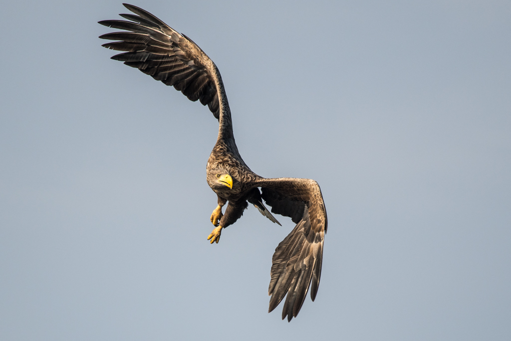 NI5 4779