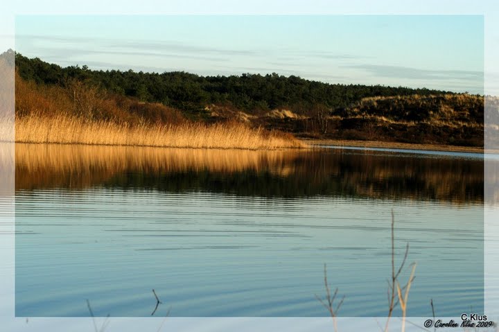 Niederlande, Naturschutzreservat Schoorlse Duinen