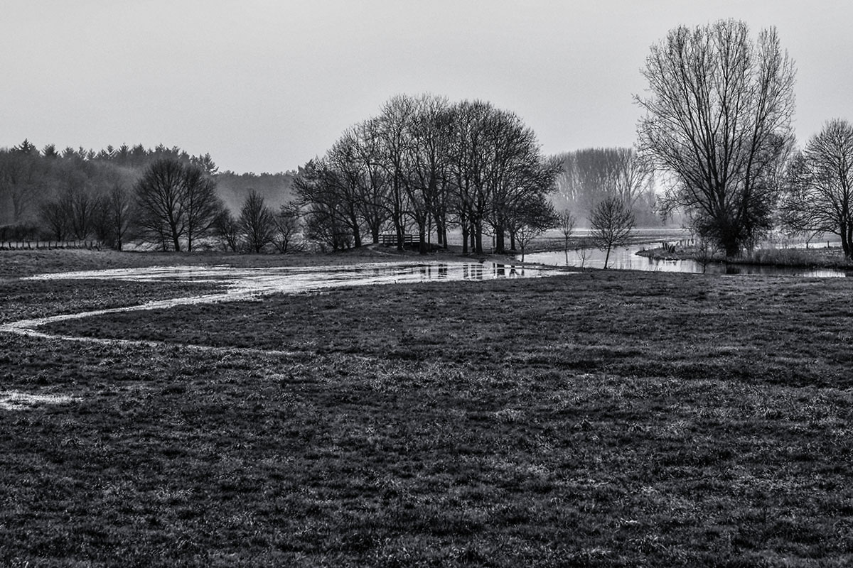 Niers Wiesen 3