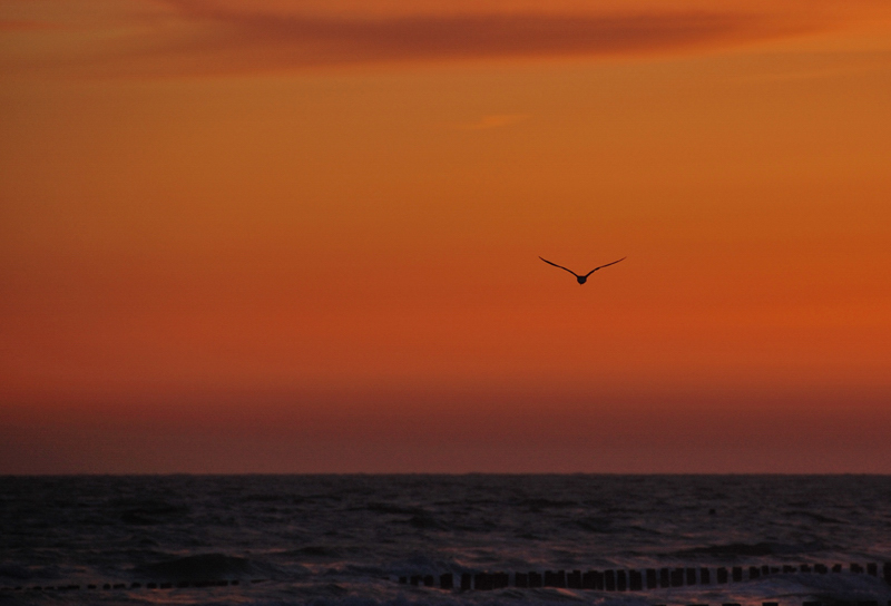 Nightflight