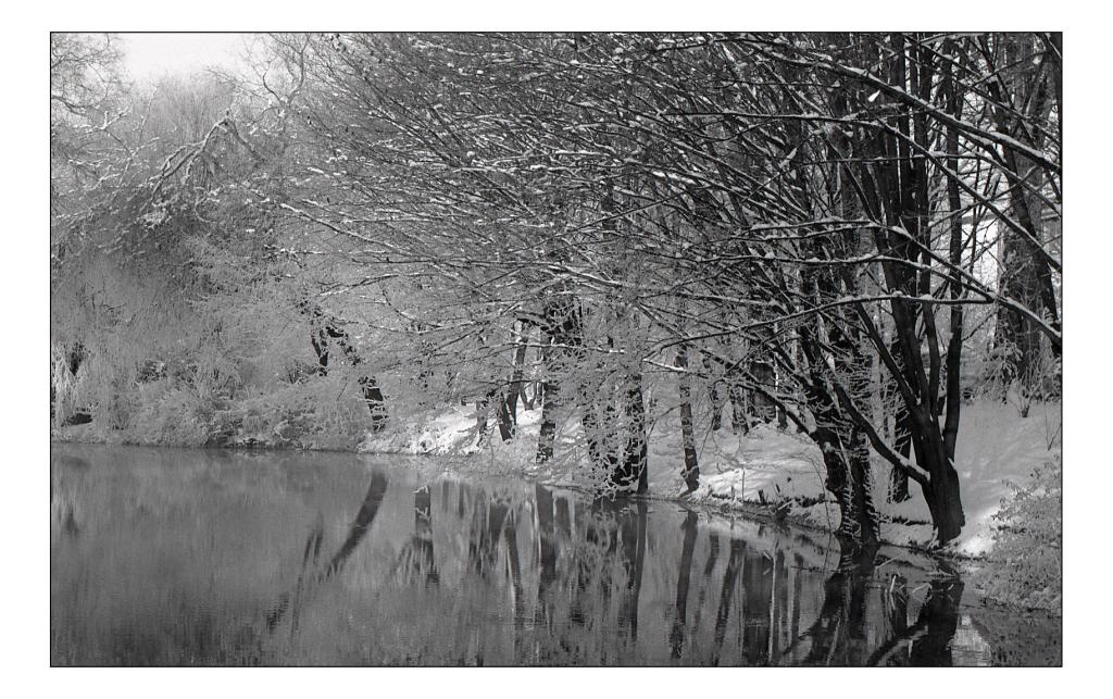 Nikkormat FT2, 1.4/50
FP4