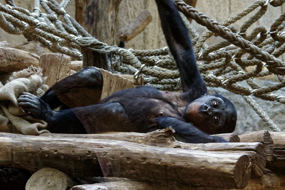 NIKON 1 J5, ISO 1600, 1/60 s, f/8, 70 mm, DxO OP 11 Elite