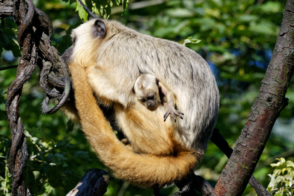 NIKON 1 J5, ISO 200, 1/6400 s, f/5.6, 208 mm, DxO OP 11 Elite