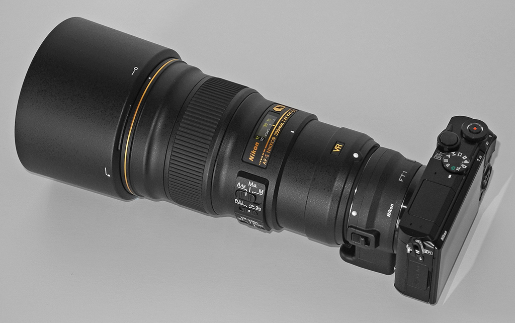 Nikon 1 J5 mit Nikon AF-S 300/4 PF