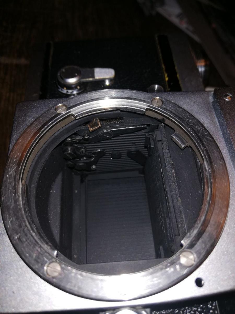 nikon bild 4