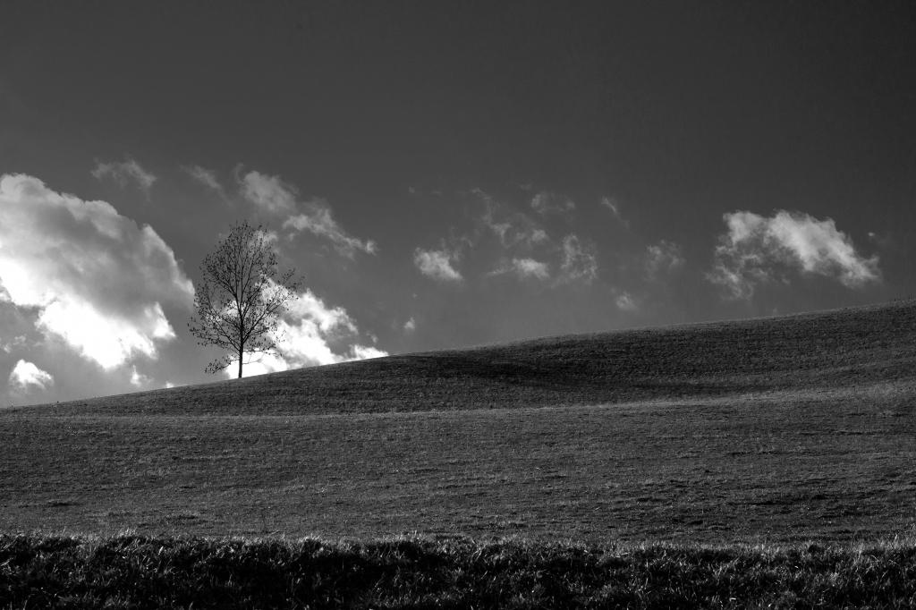 Nikon D3100 in der Steiermark