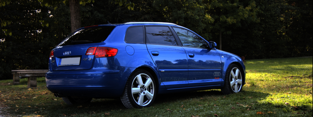 Nikon D40 mit Kit AF-S 18-55mm 1:3.5-5.6 GII
24.0mm, 1/200s, f/4.5, ISO200

Unschärfe dank Forensoftware.