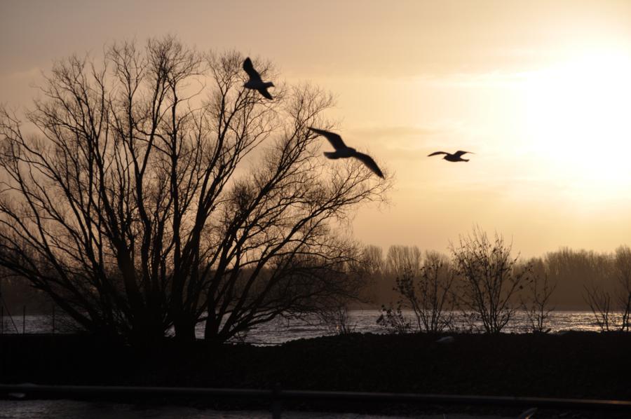 Nikon D5000
Belichtung 1/200
Iso-200
Brennweite 55mm