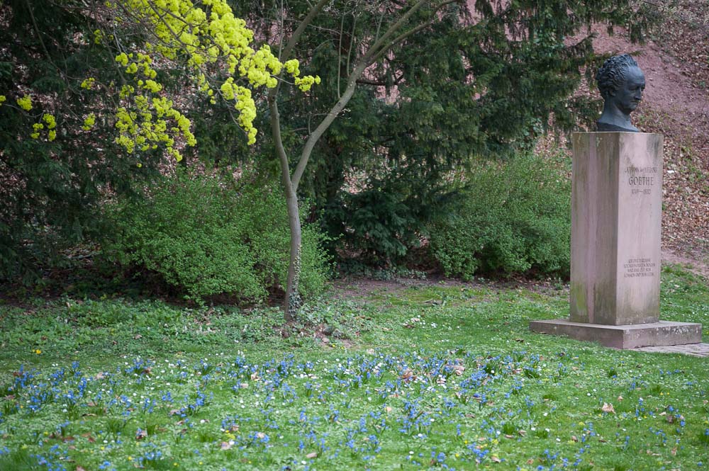 NIKON D700   90.0 mm f 3.5   140321 144701