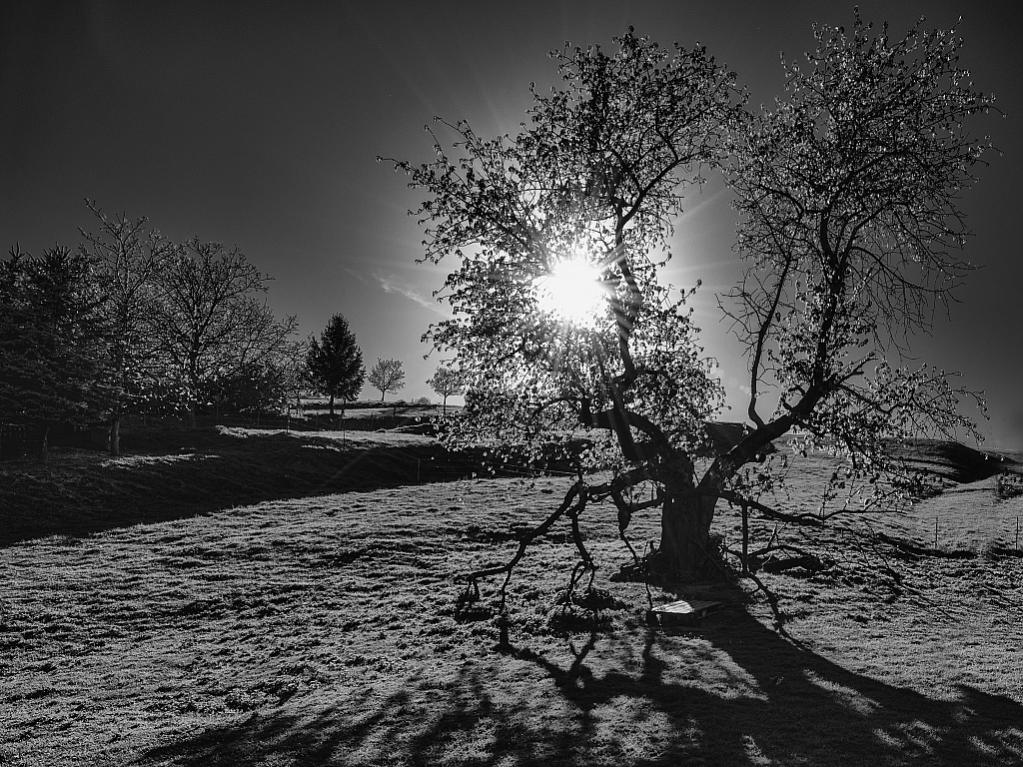 Nikon D800, Nikkor 14-12