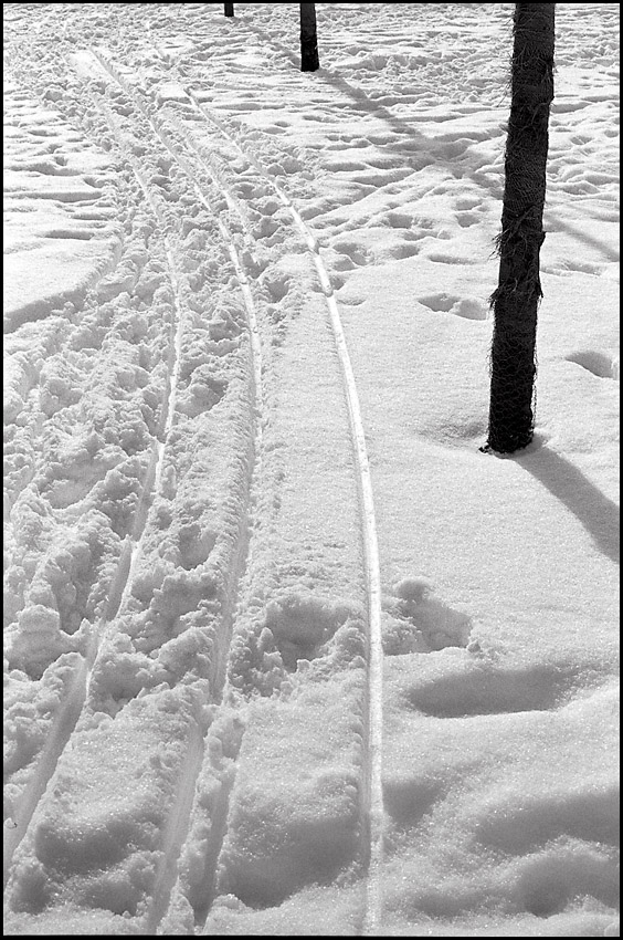 Nikon F test 21