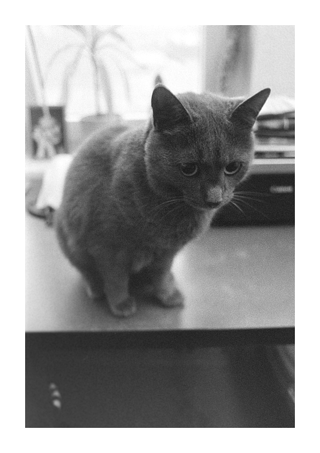 Nikon F100, Ilford Delta 3200, Nikkor 24/2.8 AiS @ f/2.8