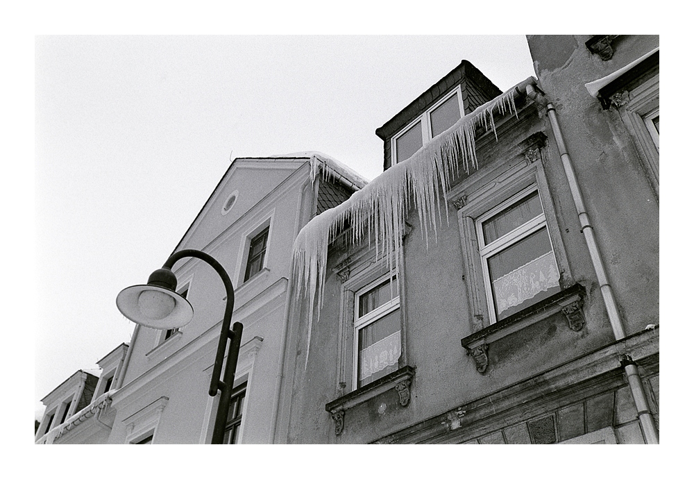 Nikon F100, Ilford Delta 400