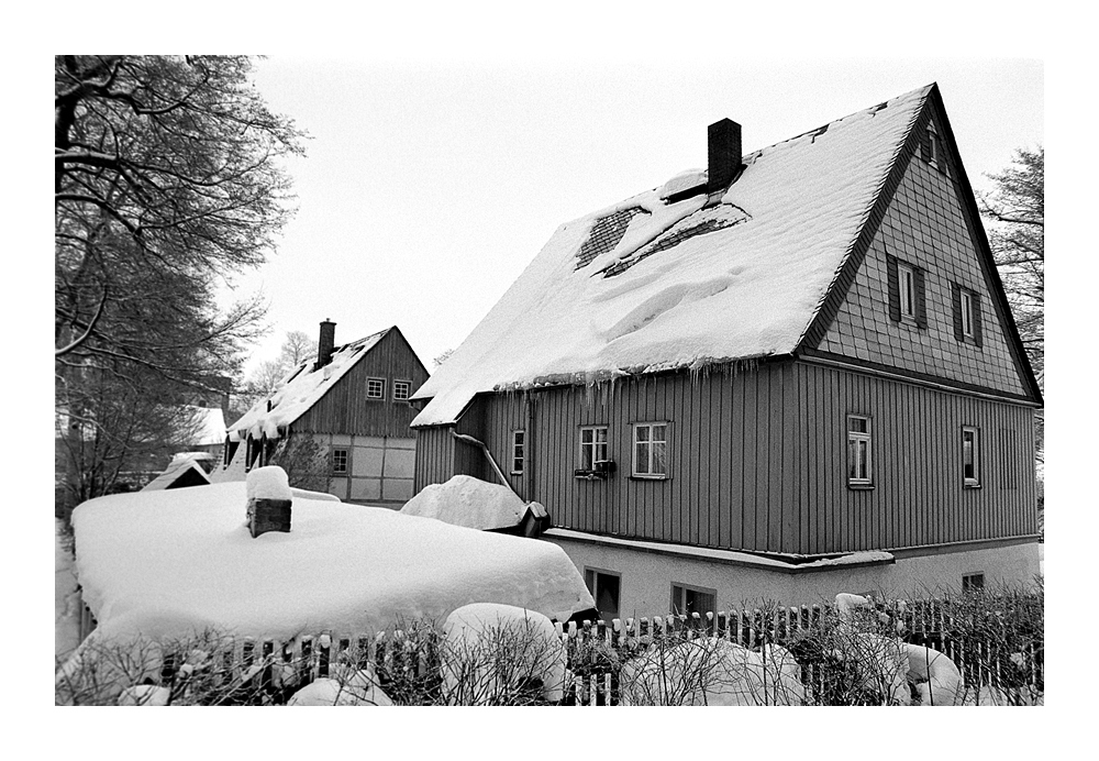 Nikon F100, Ilford Delta 400