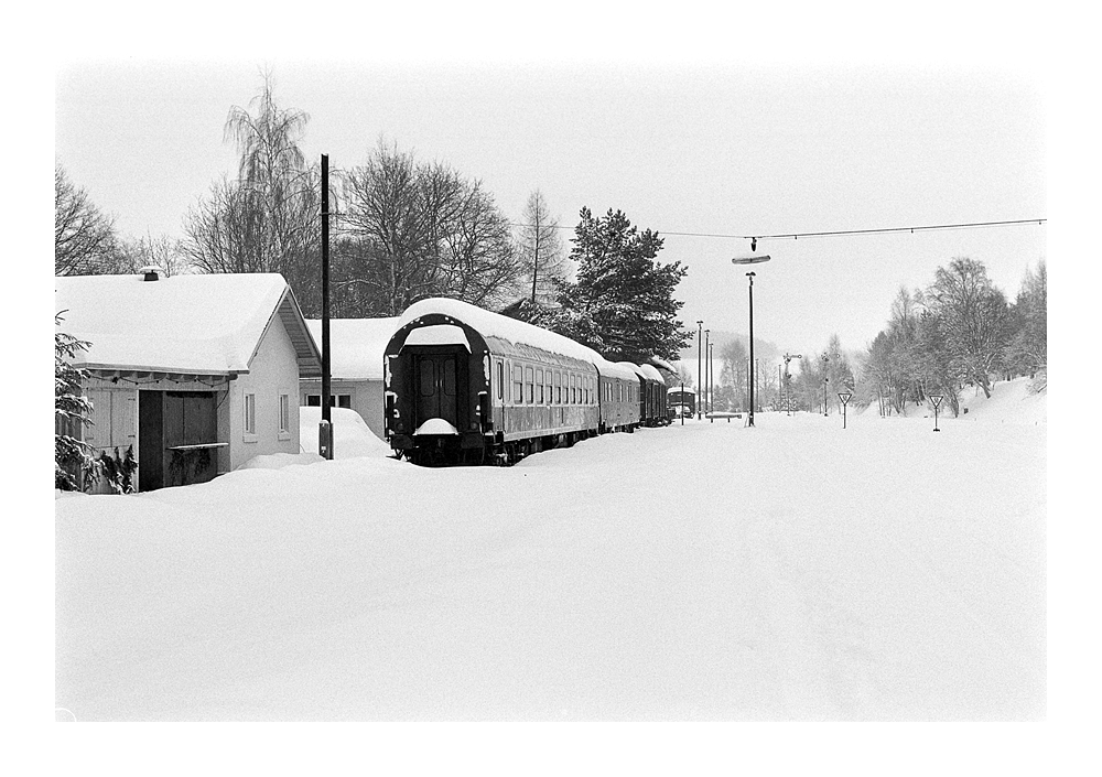 Nikon F100, Ilford Delta 400