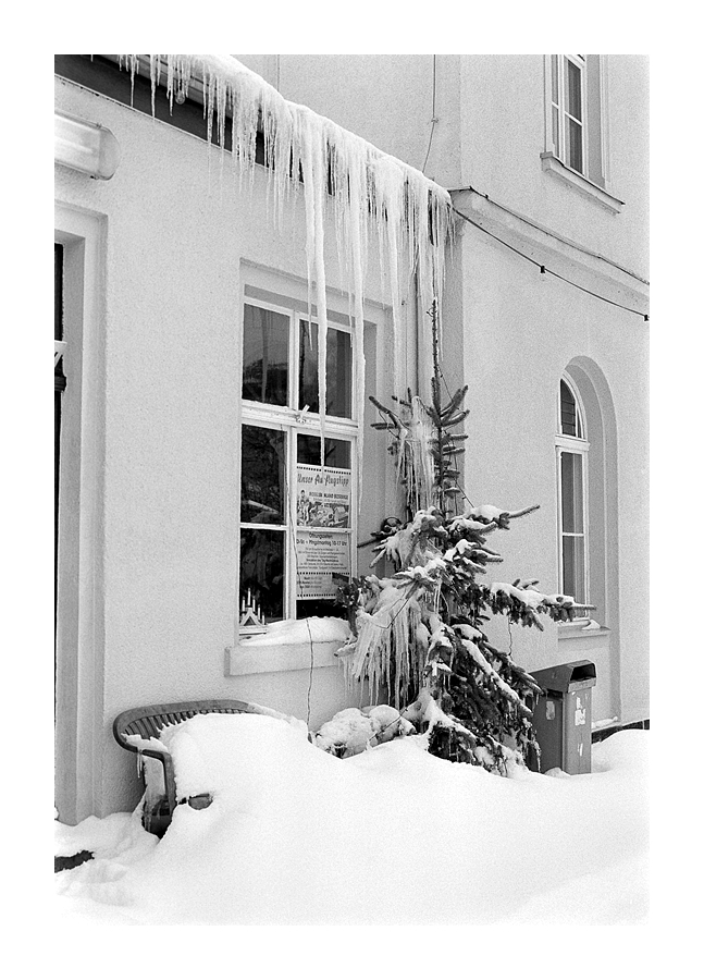 Nikon F100, Ilford Delta 400