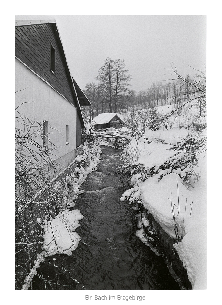 Nikon F100, Ilford FP4, Nikkor 24/2.8 AiS