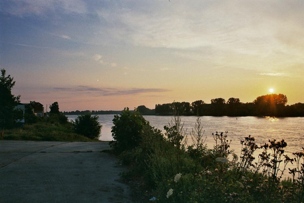 Nikon F2 DP1  80-200mm 1/4,5