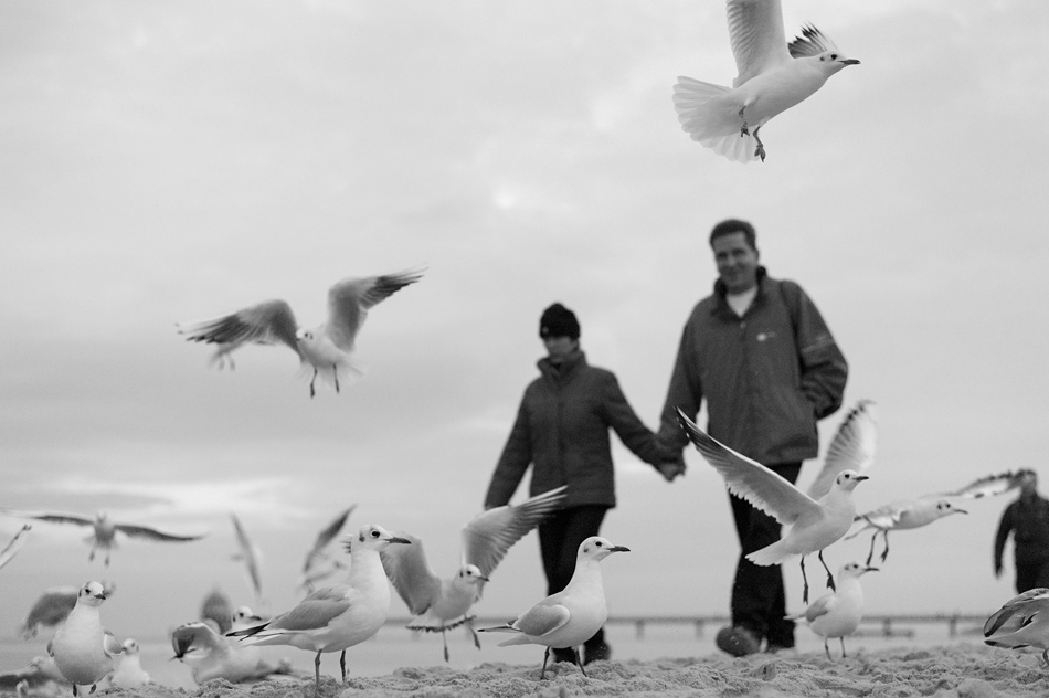 Nikon Treffen Usedom 2013 1037132