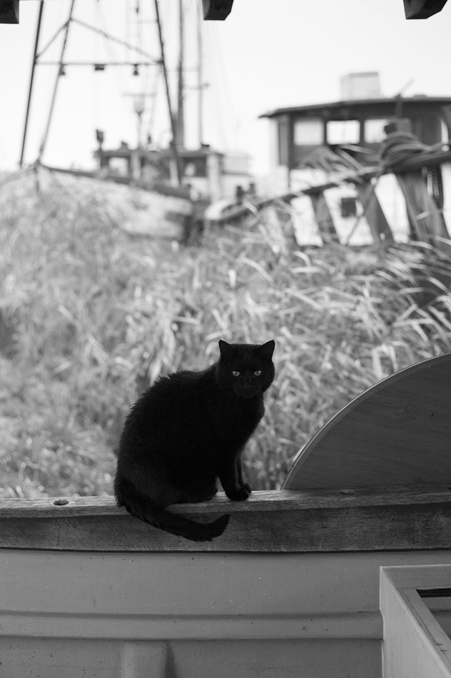 Nikon Treffen Usedom 2013 1037338