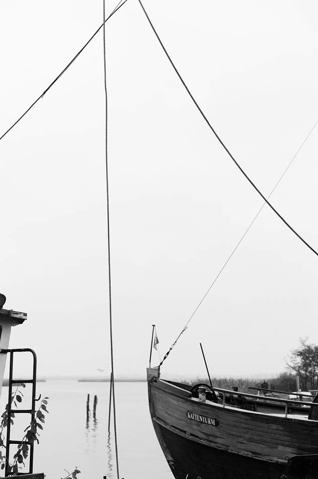 Nikon Treffen Usedom 2013 1037356
