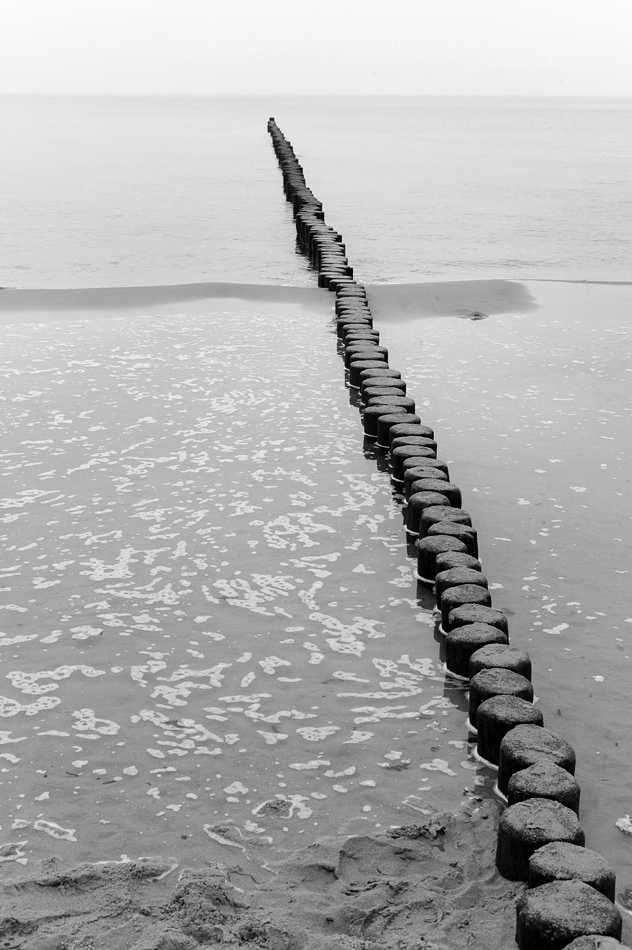 Nikon Treffen Usedom 2013 1037386