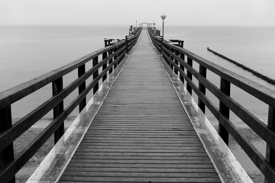 Nikon Treffen Usedom 2013 1037408