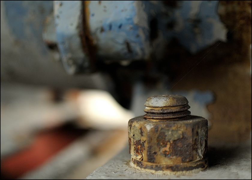 Nikon V1 18,5 Testbild