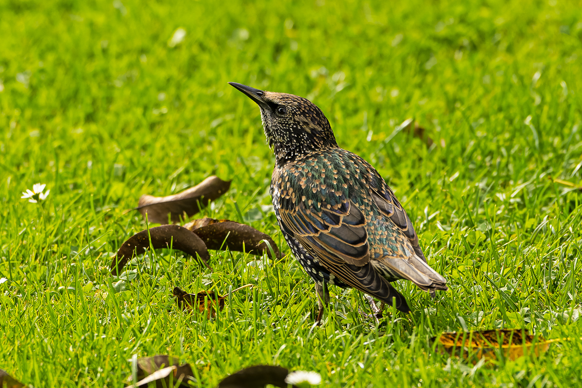 NIKON Z 7_2_2021_09_28_14_09_Z72_0150-NEF_DxO_DeepPRIME.jpg