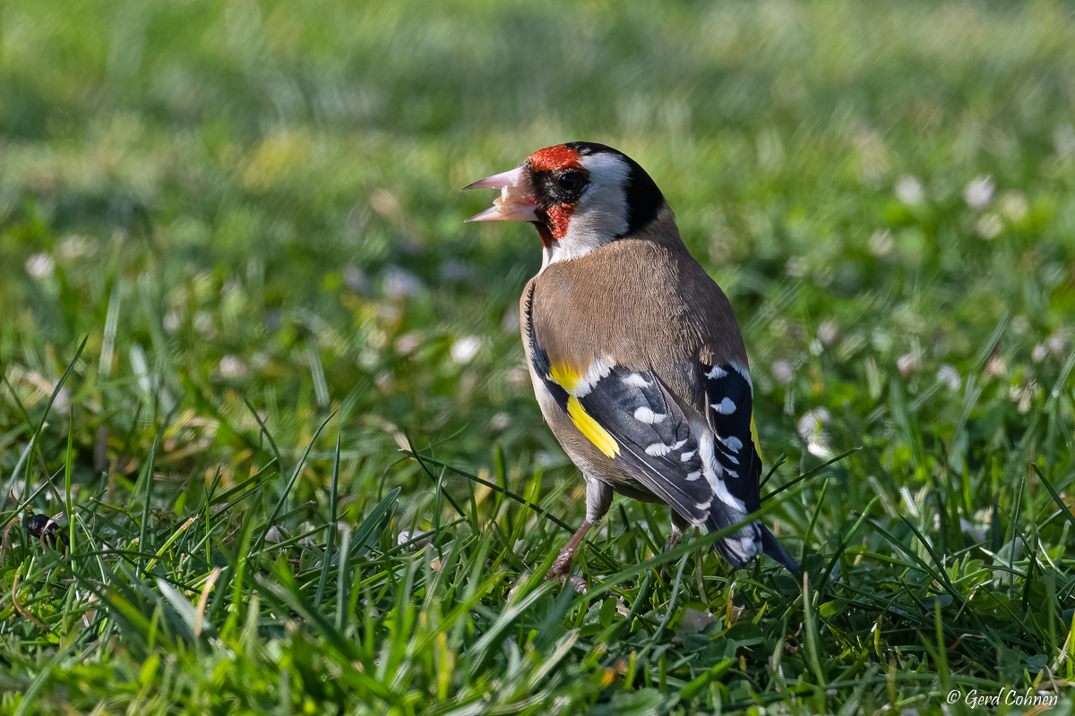 NIKON Z 7_2_2022_03_27_15_27_Z72_3562.jpg