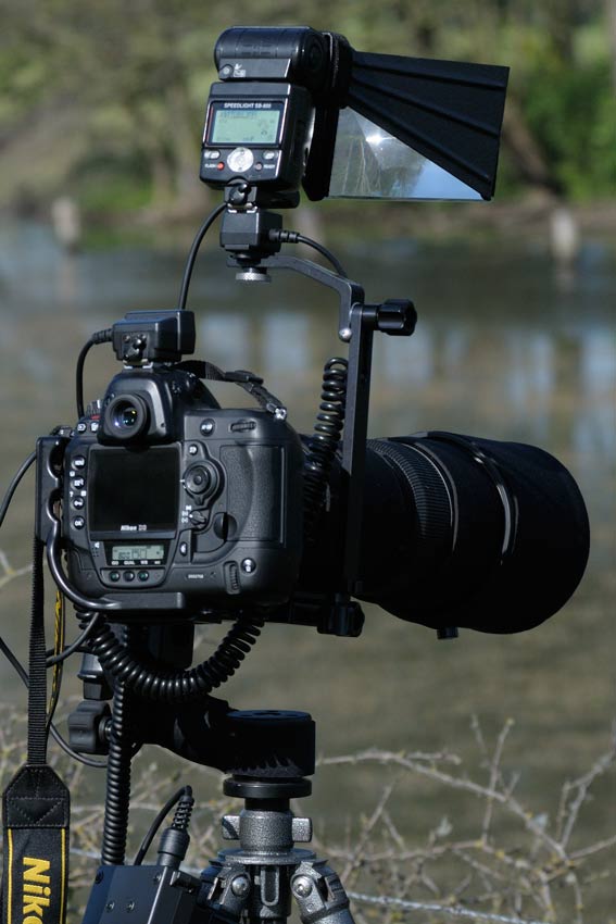 Nikon