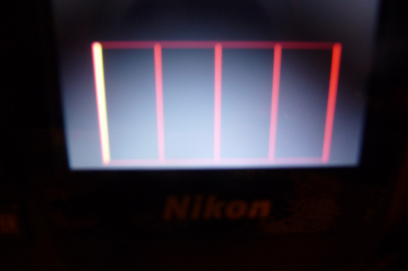 Nikon
