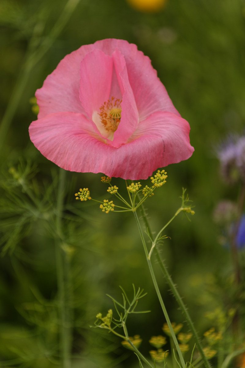 NIKON_2022_00268NF.jpg