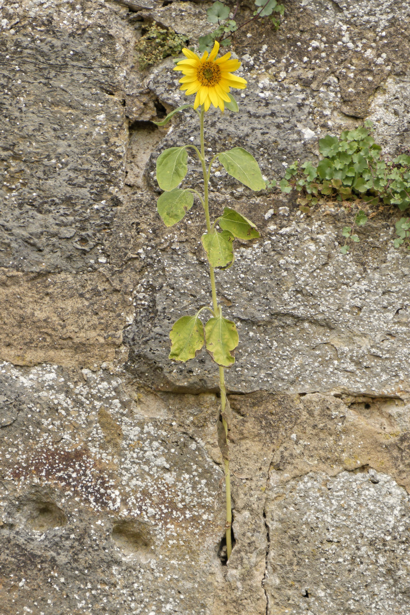 NIKON_2022_00423NF.jpg