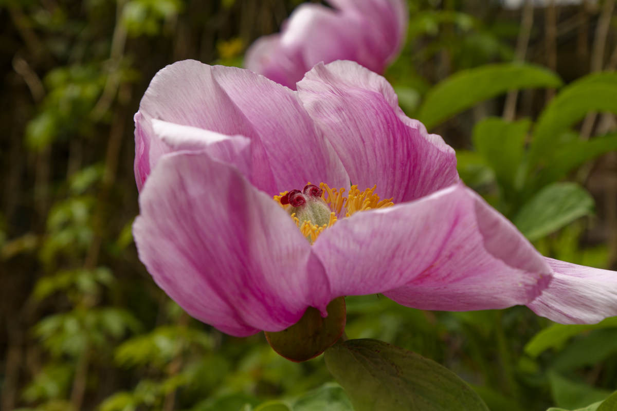 NIKON_2023_01307NF.jpg