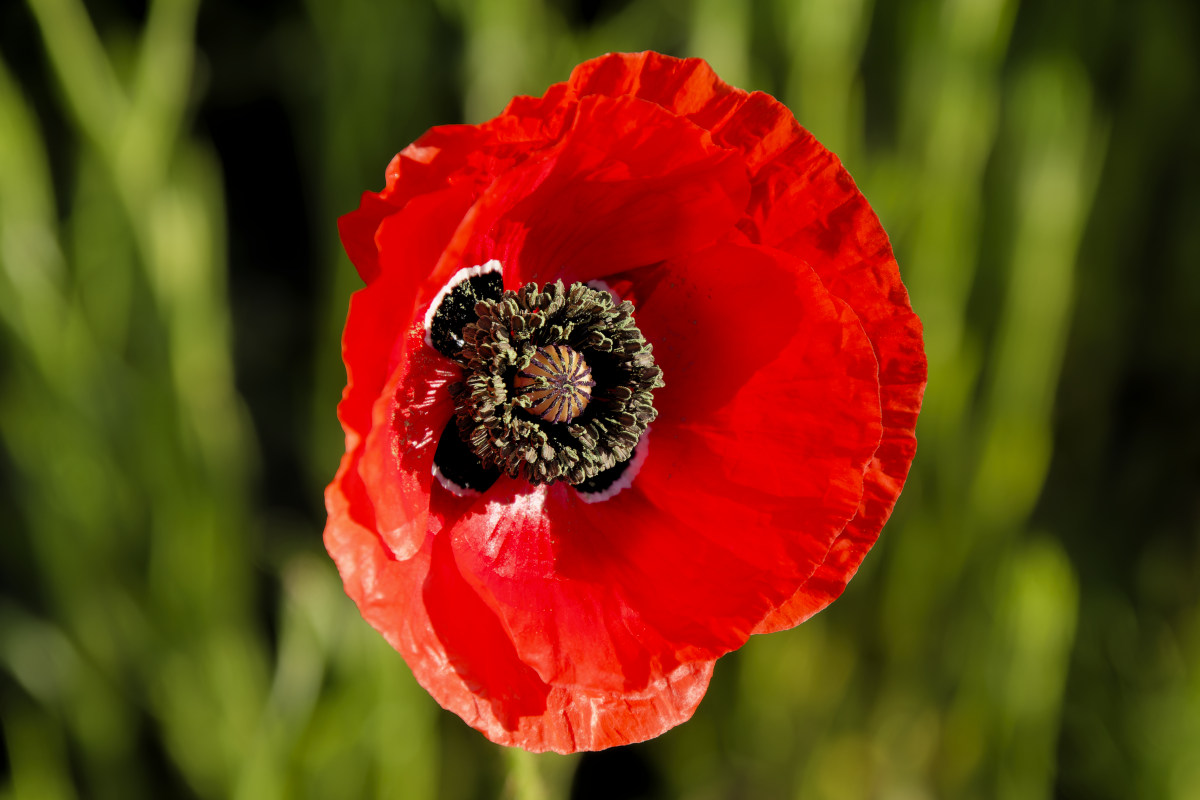 NIKON_2023_01326NF.jpg