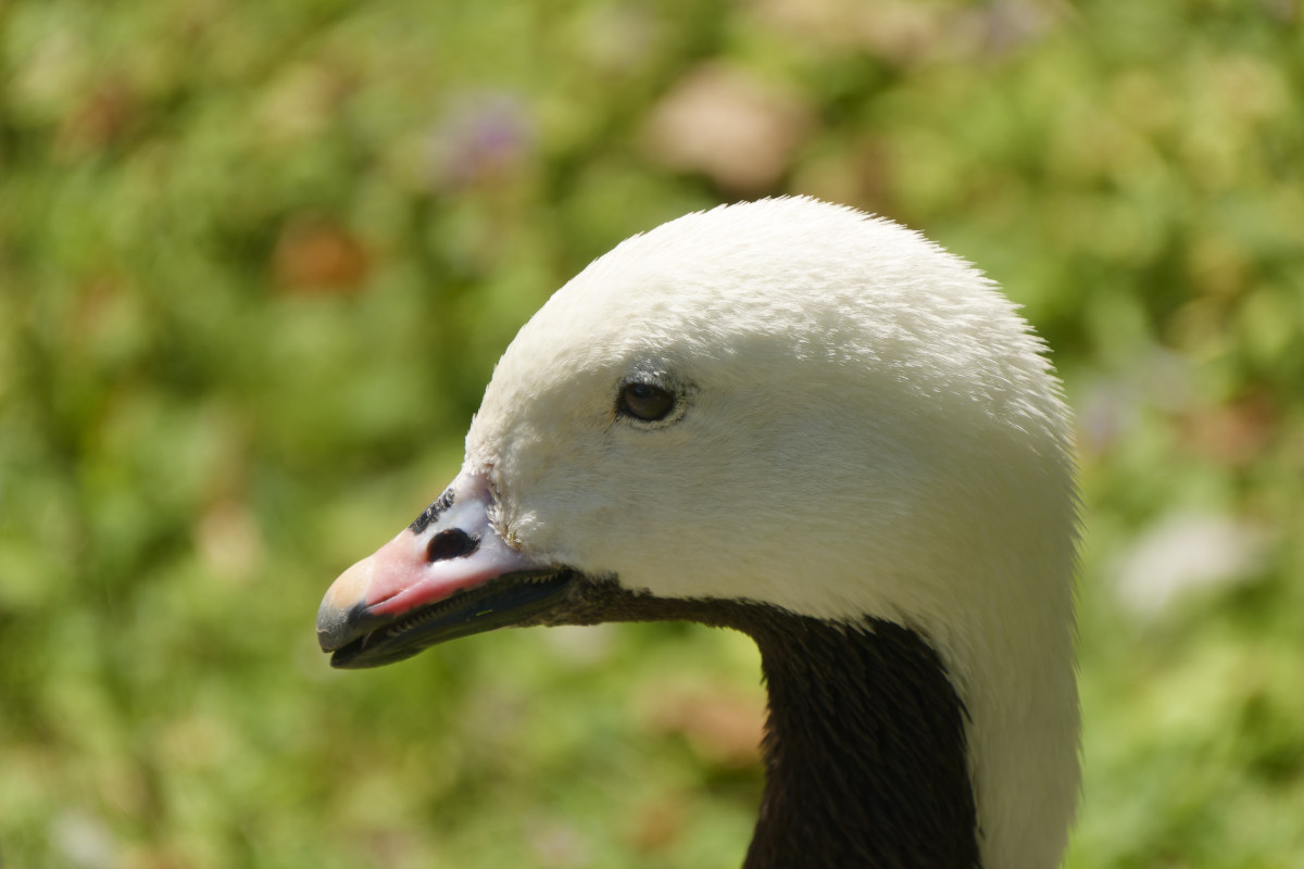 NIKON_2023_01481NF.jpg