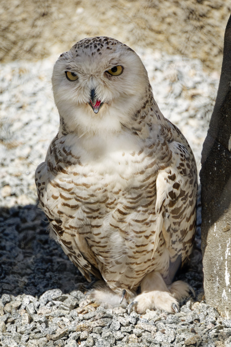 NIKON_2023_01552NF.jpg