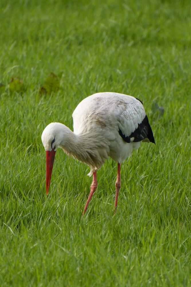 NIKON_2024_00034NF.jpg